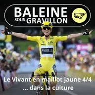 S07E65 Le Vivant en maillot jaune 4/4 : La signification du jaune dans la culture (Frédéric Archaux)
