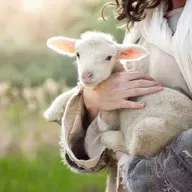 Gospel Reflection- 4th Sunday of Easter( The Good Shepherd Sunday)