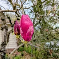 #100: Where will we hide?