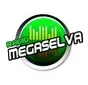 Radio Megaselva