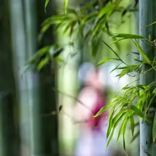 废名:竹林的故事