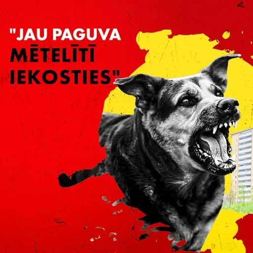 #232 “Es vienkārši kliedzu”: vai grozītais likums vairāk pasargās no agresīviem suņiem?