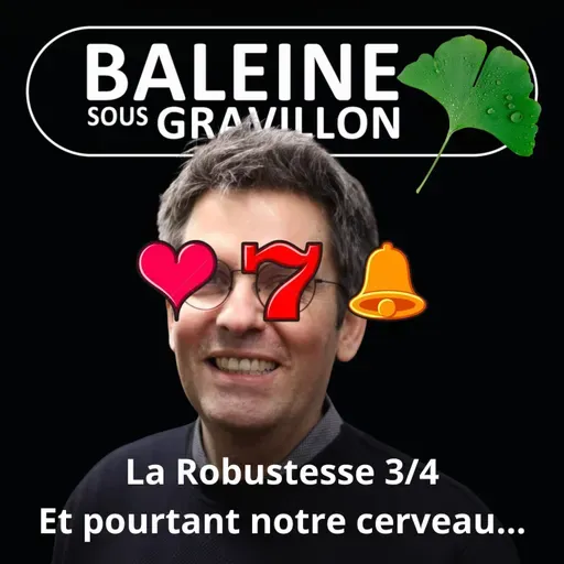 S07E03 La Robustesse 3/4 : Ce que nous apprend notre propre cerveau (Olivier Hamant)