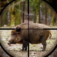 Il Termometro - Puntata 9 - Intervista a Roberto Salustri di Alleanza Antispecista, Invasione di Gaza