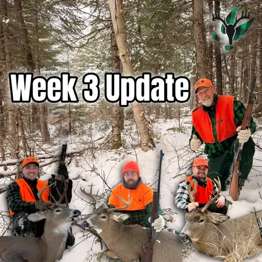 Deer Season Week 3 Update | Big Woods Bucks Podcast Ep 183