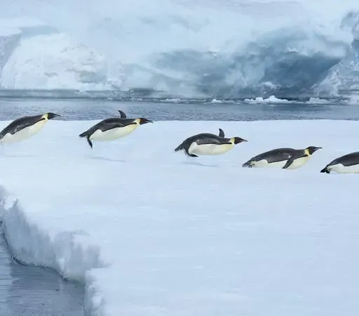 Maitiú Ó Cuimín, Lochán Beag.