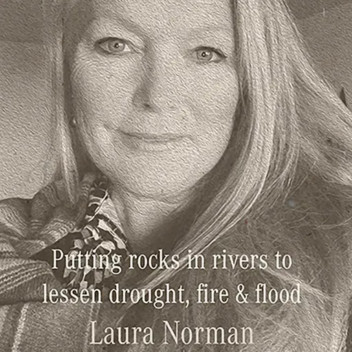 Putting rocks into rivers to lessen drought-fire-flood : Laura Norman, physical scientist
