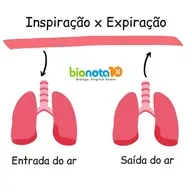 Respiração