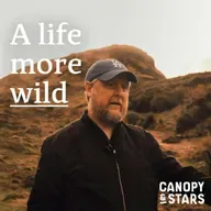 Tim Key on maybe being a ghost and definitely being a pigeon, but not knowing why