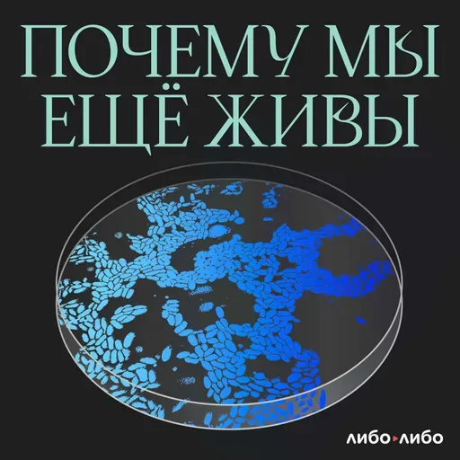 Всё как в тумане: как мы узнали, что курение убивает