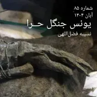 شماره هشتاد و پنجم - یونس جنگل حرا - نسیبه فضل اللهی