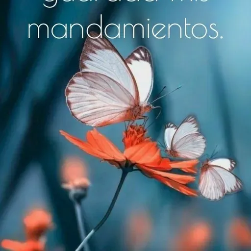 iglesia de cristo.mp3