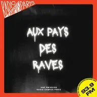 Episode 3 - L'engagement politique chez les artistes - Comment s'engager en tant qu'artiste et faire de son art un levier de changement ?