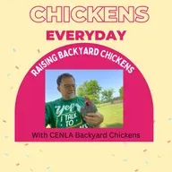 Pt. 3 w/Jeff Mattocks: Feed Smarter For Healthier Backyard Chickens