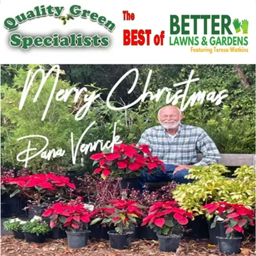 S2 Ep412: Better Lawns and Gardens - Hour 2 Best Of Christmas December 20 2025