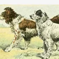 S8 Ep787: 3 HEADLINE: Reproduction, Social Intelligence, and Lifespan in a Self-Sustaining World GUESTS: Jessica Pierce and Mark Bekoff SUMMARY: Reproduction will shift toward a communal approach where male dogs and "alloparents"—such as aunts, uncles, and older si