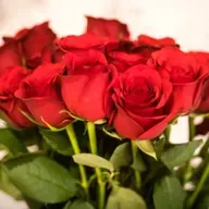 Caroline Ní Fhrighil, Bláthanna & Bronntannais Charoline.