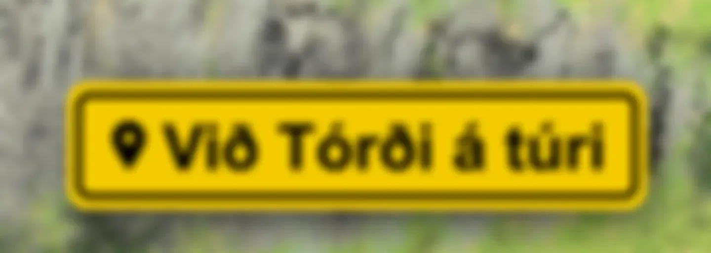 Við Tórði á túri