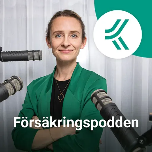 50. När bilen stannar – har du rätt skydd?