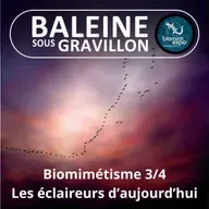 S07E38 Biomimétisme et bioinspiration 3/4 : Les éclaireurs d'aujourd'hui (Alain Renaudin)
