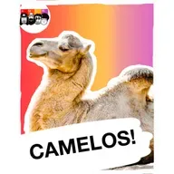 Como os camelos conquistaram os desertos?
