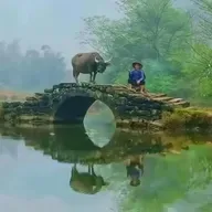 毕淑敏：附耳细说