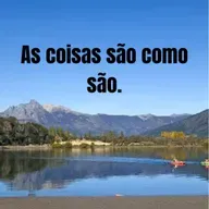 As coisas são como são.