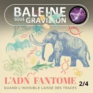 S07E150 L'ADN environnemental 2/4 : Pister les espèces... via leurs traces d'ADN ! (Benjamin Allegrini)