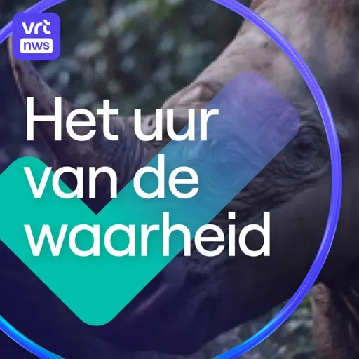 Hoe komt een neushoorn met twee linkerogen in een schoolboek? En hoe gevaarlijk is stemadvies van chatbots?
