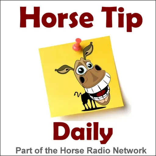 1603: Hoof Abscesses, by MyNewHorse - Horse Tip Daily