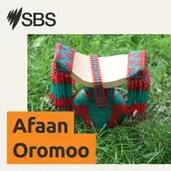 How public and community housing works in Australia - Australia keessatti Mannee ummataa fi manneen hawaasaa akkamitti hojjeta -Australia Explained