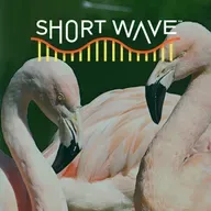 Flamingos: The Water-Bending Physics Masters