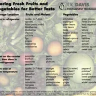 Grow A Yardful of Phytonutrients