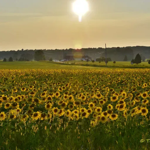 Encouragement and Prayer: A Good Life! (4/29/26)
