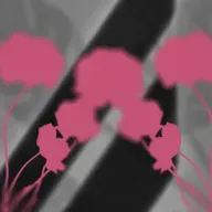 R&B udifSTYLE