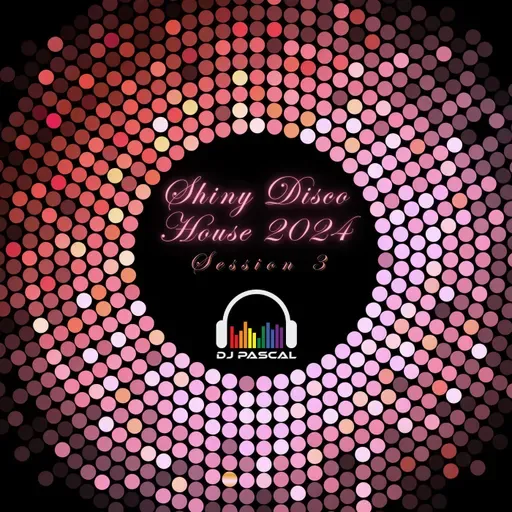 Shiny Disco House 2024 Session 3
