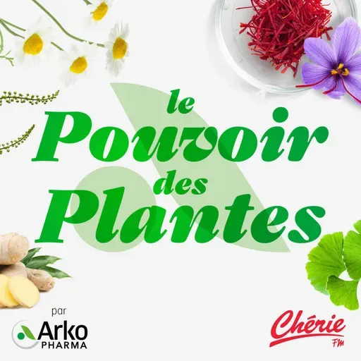 Rediffusion : La Détox