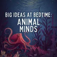 Big Ideas at Bedtime: Animal Minds
