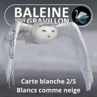 S05E122 Carte blanche 2/5 : Blancs comme neige