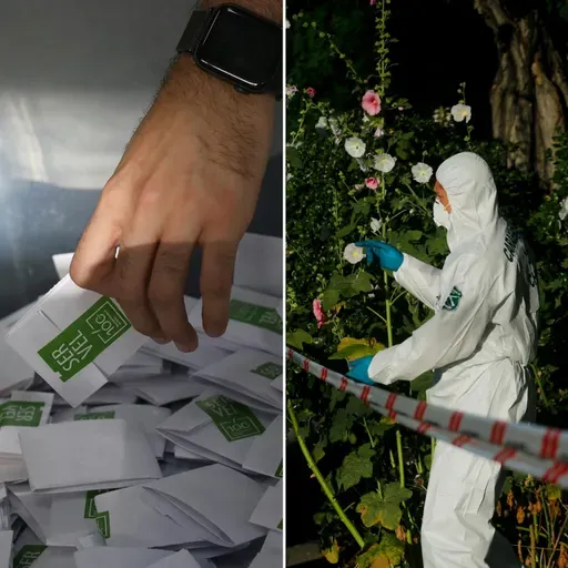 Cavallo y Araos por el comienzo de la campaña presidencial y quién gobierna cuando el Estado se retira