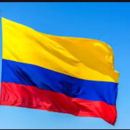 ¿Todos los colombianos son ciudadanos ante la Constitución?