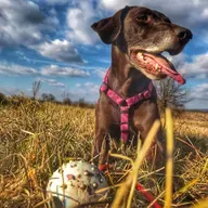 🌀 💫 ... miren prehod 🌈