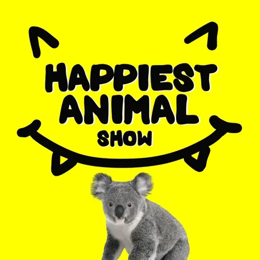 Sleepy Animals (with comedian David Gborie)