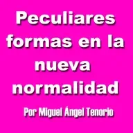 E13 - PECULIARES FORMAS EN LA NUEVA NORMALIDAD