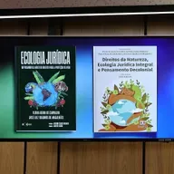 Especialistas defendem que elementos naturais sejam sujeitos de direitos