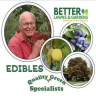 S2 Ep430: Better Lawns and Gardens - Hour 1 Edibles with Dana Venrick February 28 2026