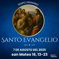 Evangelio del 7 de agosto del 2025 según san Mateo 10-23-23