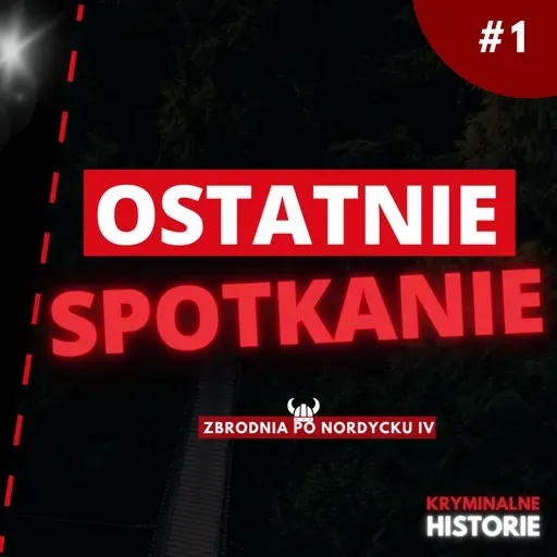 ZNIKNĘŁA PO SPOTKANIU Z BYŁYM CHŁOPAKIEM | WILMA ANDERSSON #1 | ZBRODNIA PO NORDYCKU IV