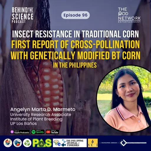 Ep96 - Insect resistance in traditional corn: First report of cross-pollination with BT corn in the Philippines