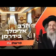 הרב אלימלך בידרמן • פרשת נח תשפ''ו | עלונימייל